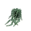 12cm String Of Pearls Artificial Plant In Black Ceramic Pot -Hozelock Shop 12cm string of pearls artificial plant in black ceramic pot5010795682591 01c bq