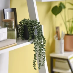 12cm String Of Pearls Artificial Plant In Black Ceramic Pot -Hozelock Shop 12cm string of pearls artificial plant in black ceramic pot5010795682591 01i