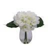 17cm White Hydrangeas Artificial Plant In Clear Glass Vase -Hozelock Shop 17cm white hydrangeas artificial plant in clear glass vase5010795682638 01c bq