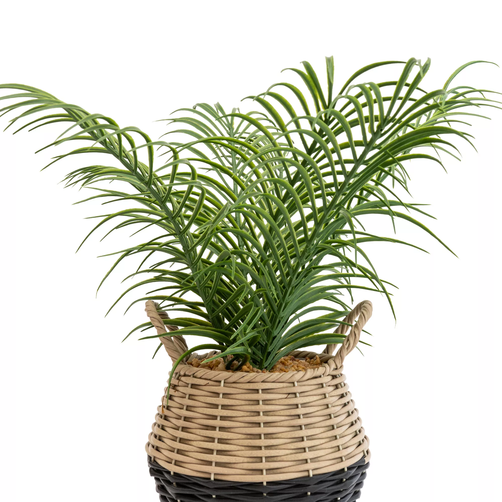 20cm Palm Artificial plant in Natural Wicker Basket 20cm Palm Artificial Plant In Natural Wicker Basket -Hozelock Shop 20cm palm artificial plant in natural wicker basket5010795682577 36c bq