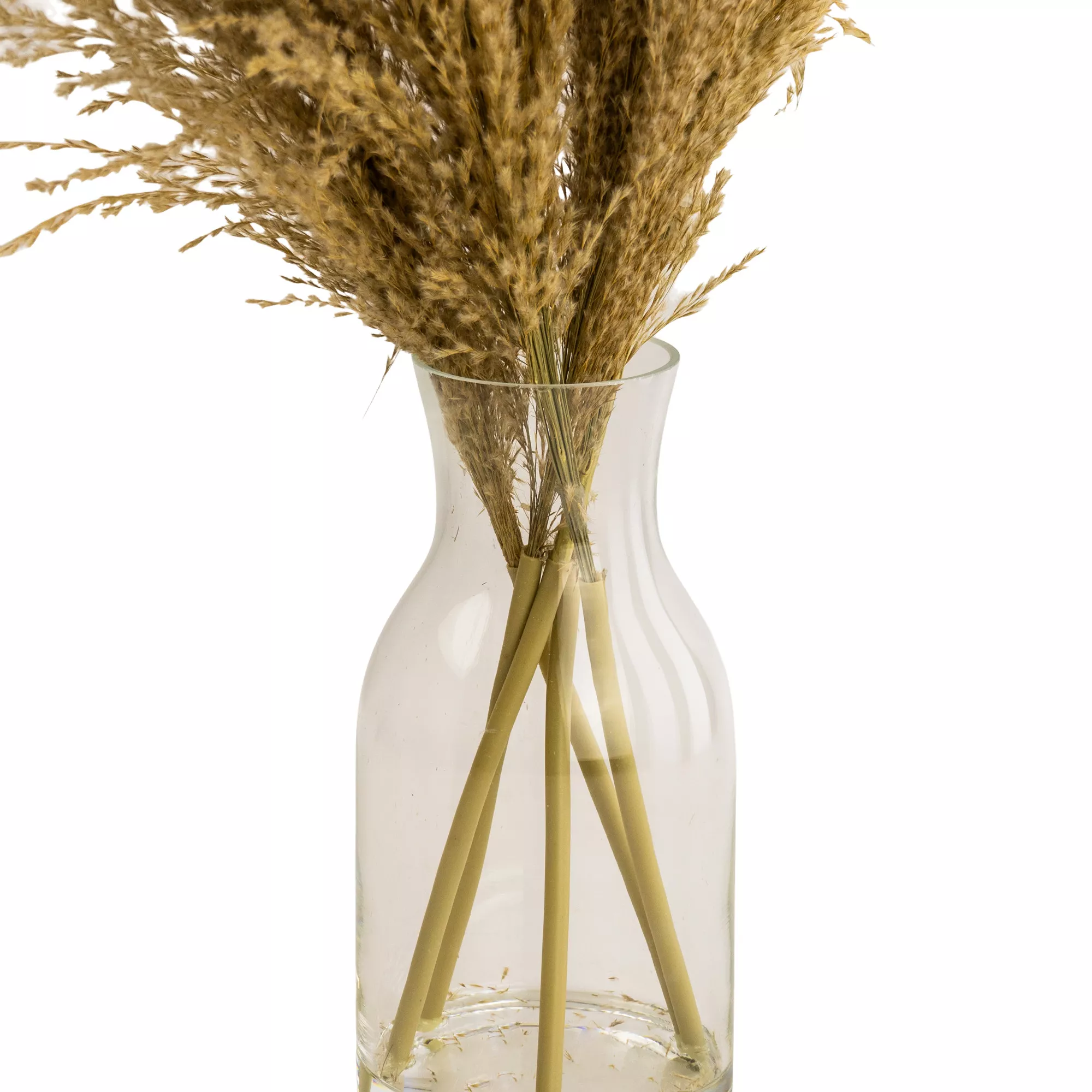 49cm Natural Pampas grass Artificial plant in Clear Glass Vase 49cm Natural Pampas Grass Artificial Plant In Clear Glass Vase -Hozelock Shop 49cm natural pampas grass artificial plant in clear glass vase5010795682621 03c bq