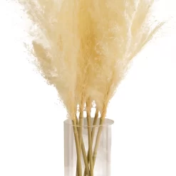 64cm White Pampas Grass Artificial Plant In Clear Glass Vase -Hozelock Shop 64cm white pampas grass artificial plant in clear glass vase5010795682614 01c bq