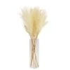 64cm White Pampas Grass Artificial Plant In Clear Glass Vase 2 64cm White Pampas Grass Artificial Plant In Clear Glass Vase -Hozelock Shop 64cm white pampas grass artificial plant in clear glass vase5010795682614 03c bq