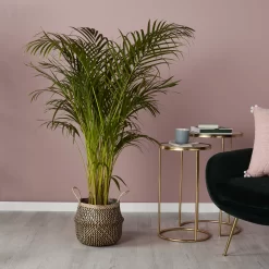 Black Seagrass Herringbone Circular Plant Pot (Dia)25cm -Hozelock Shop black seagrass herringbone circular plant pot dia 25cm3663602442516 01i bq