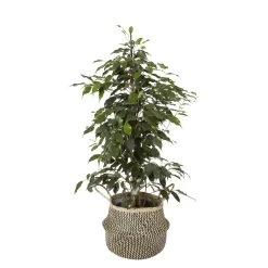 Black Seagrass Herringbone Circular Plant Pot (Dia)25cm -Hozelock Shop black seagrass herringbone circular plant pot dia 25cm3663602442516 21c bq