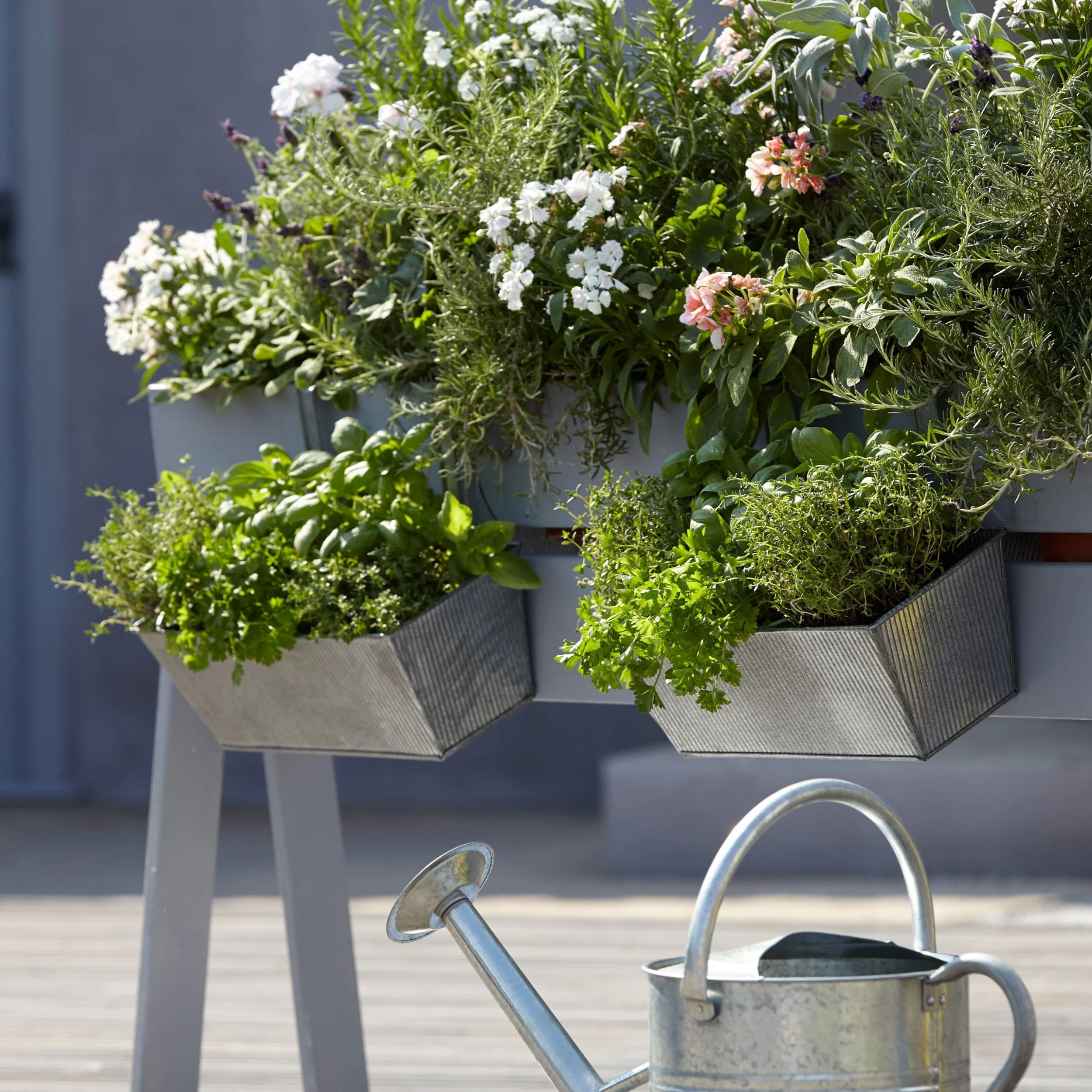 Blooma Rural Argent Metal Rectangular Trough Blooma Rural Argent Metal Rectangular Trough -Hozelock Shop blooma rural argent metal rectangular trough3663602733911 02bq scaled