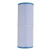 Canadian Spa Company Microban Slip Spa Filter -Hozelock Shop canadian spa company microban slip spa filter0700697210743 02c bq