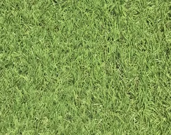 Dennis Artificial Grass 8m² (T)22mm 4 Dennis Artificial Grass 8m² (T)22mm -Hozelock Shop dennis artificial grass 8m t 22mm3663602425175 36c