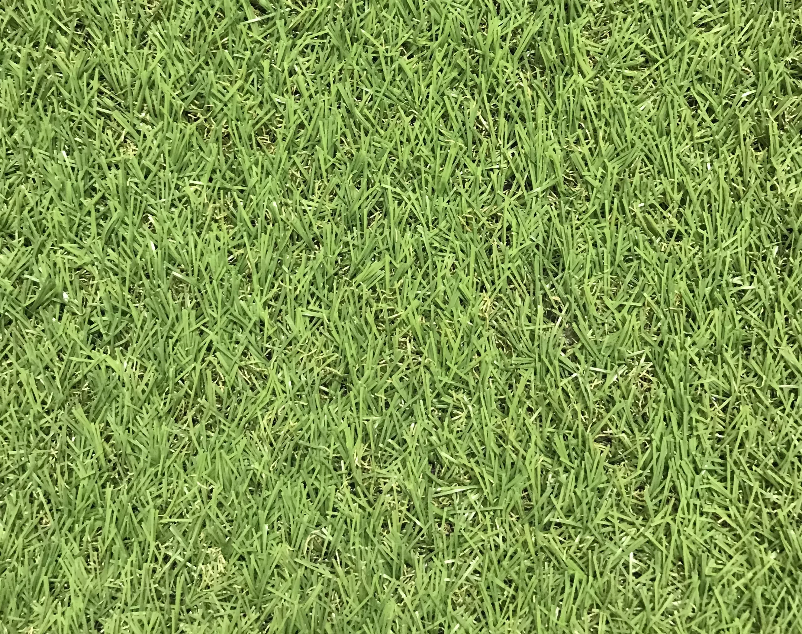 Dennis Artificial grass 8m² (T)22mm Dennis Artificial Grass 8m² (T)22mm -Hozelock Shop dennis artificial grass 8m t 22mm3663602425175 36c scaled