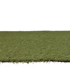 Dennis Artificial Grass 8m² (T)22mm 5 Dennis Artificial Grass 8m² (T)22mm -Hozelock Shop dennis artificial grass 8m t 22mm3663602425182 02bq