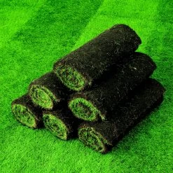 Lawn Turf, 50m² Pack 7 Lawn Turf, 50m² Pack -Hozelock Shop lawn turf 50m pack3663602195108 04i