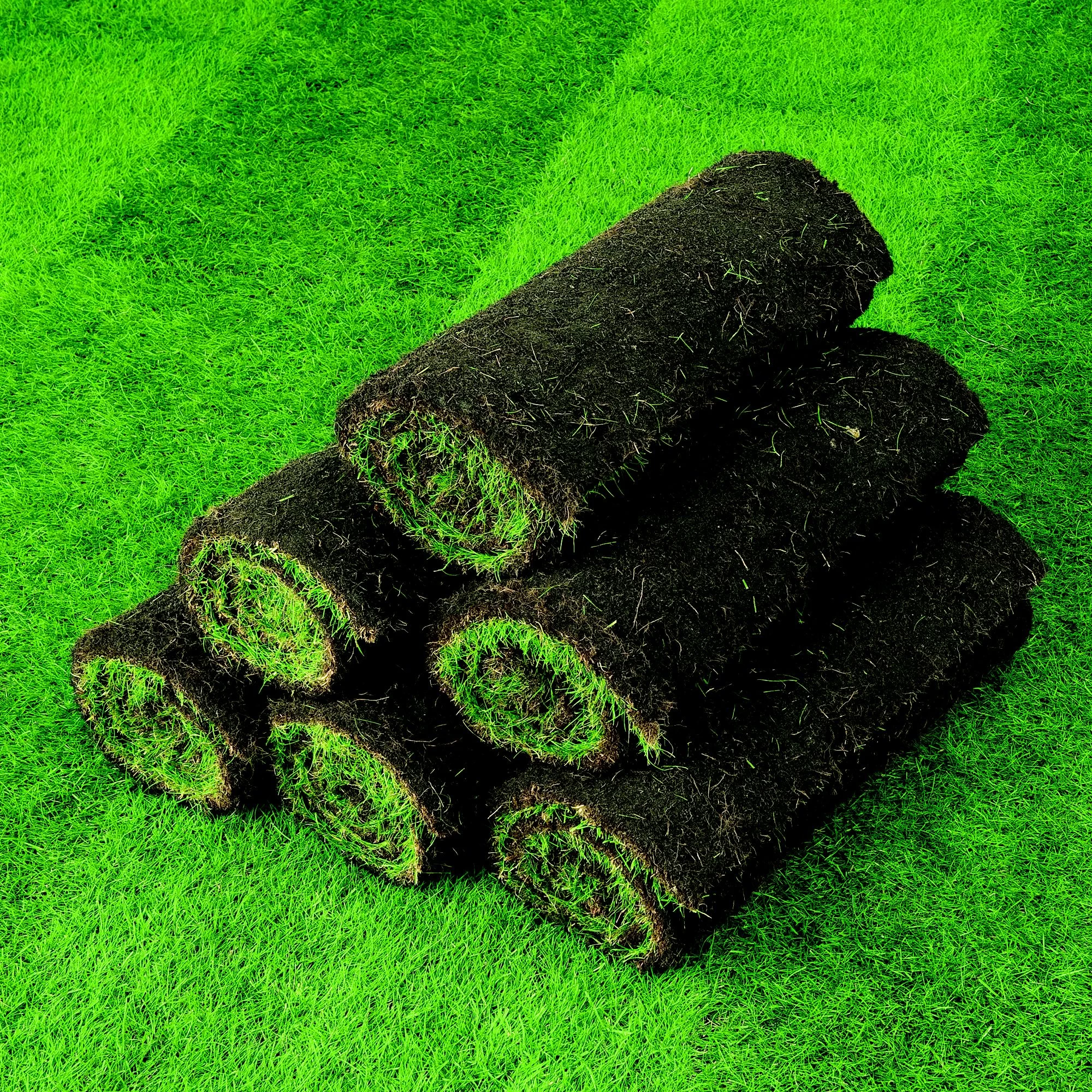 Lawn turf, 50m² Pack Lawn Turf, 50m² Pack -Hozelock Shop lawn turf 50m pack3663602195108 04i