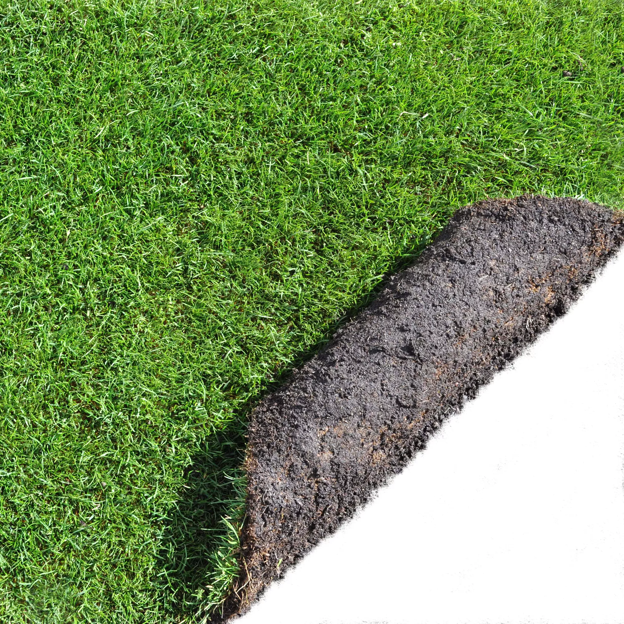 Lawn turf, 50m² Pack Lawn Turf, 50m² Pack -Hozelock Shop lawn turf 50m pack3663602195108 36c