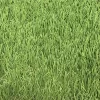 Linden Medium Density Artificial Grass (L)4m (W)1m (T)32mm 2 Linden Medium Density Artificial Grass (L)4m (W)1m (T)32mm -Hozelock Shop linden medium density artificial grass l 4m w 1m t 32mm3663602425236 36c