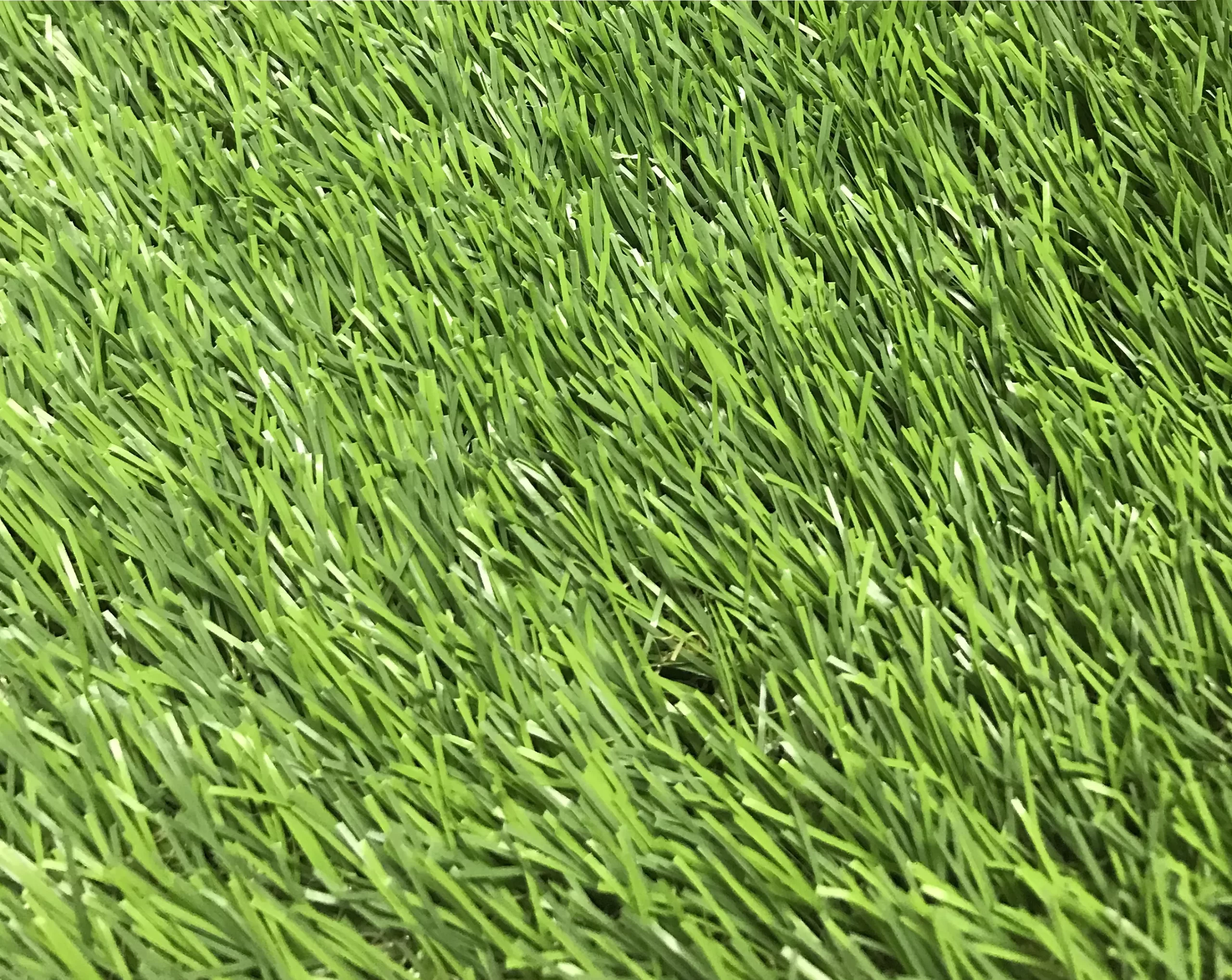Maple High density Artificial grass (L)4m (W)2m (T)39mm Maple High Density Artificial Grass (L)4m (W)2m (T)39mm -Hozelock Shop maple high density artificial grass l 4m w 2m t 39mm3663602425274 36c scaled