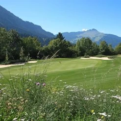 Meadowmat Wildflower Turf, 20m² Pack -Hozelock Shop meadowmat wildflower turf 20m pack04168157 04i bq