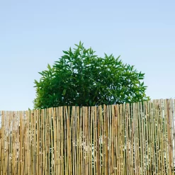 Natural Reed Garden Screen (H)1.8m (W)3m 4 Natural Reed Garden Screen (H)1.8m (W)3m -Hozelock Shop natural reed garden screen h 1 8m w 3m3663602428060 01i