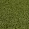 Olive High Density Artificial Grass (L)4m (W)1m (T)47mm -Hozelock Shop olive high density artificial grass l 4m w 1m t 47mm3663602425335 01bq