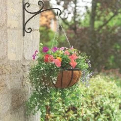 Panacea Classic Flat Iron Appearance Black Round Wire Hanging Basket, 35cm -Hozelock Shop panacea classic flat iron appearance black round wire hanging basket 35cm0093432815465 01i bq