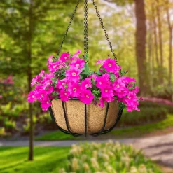 Panacea Forge Black Round Wire Hanging Basket, 35cm -Hozelock Shop panacea forge black round wire hanging basket 35cm0093432815069 01i BQ