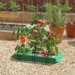 Panacea Steel Curved Plant Support Frame (L)47cm (Dia)35cm, Set Of 3 -Hozelock Shop panacea steel curved plant support frame l 47cm dia 35cm set of 30093432825488 01i bq