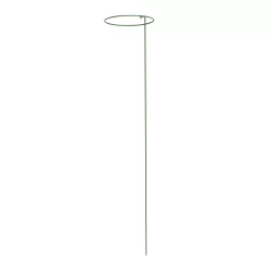 Panacea Steel Single Stem Plant Support (L)122cm (Dia)20.3cm, Pack Of 3