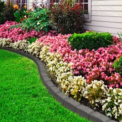 Primeur Grey Rubber Roman Stone Edging Roll (H)8.8cm (L)1.2m -Hozelock Shop primeur grey rubber roman stone edging roll h 8 8cm l 1 2m5907736267477 02i bq