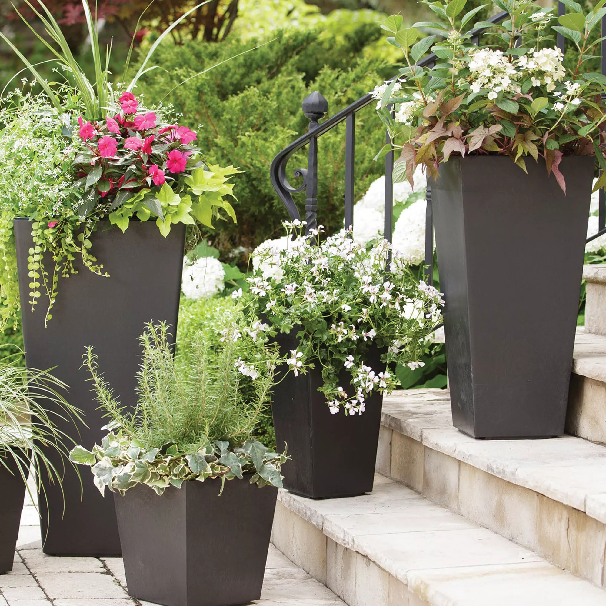 Primeur Sonata Pewter Plain Square Plant pot (Dia)26cm Primeur Sonata Pewter Plain Square Plant Pot (Dia)26cm -Hozelock Shop primeur sonata pewter plain square plant pot dia 26cm5907736265343 01i bq