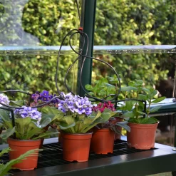 Rion Grand Gardner Green 8x20 Greenhouse -Hozelock Shop rion grand gardner green 8x20 greenhouse7290103121648 38c