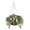 Smart Garden Pertunia Artificial Blue/ White Round Plastic Hanging Basket, 30cm -Hozelock Shop smart garden pertunia artificial blue white round plastic hanging basket 30cm5050642007344 02c bq