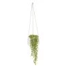 String Of Beads In 13cm White Ceramic Hanging Pot -Hozelock Shop string of beads in 13cm white ceramic hanging pot3663602497356 02c bq