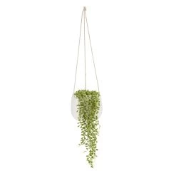 String Of Beads In 13cm White Ceramic Hanging Pot