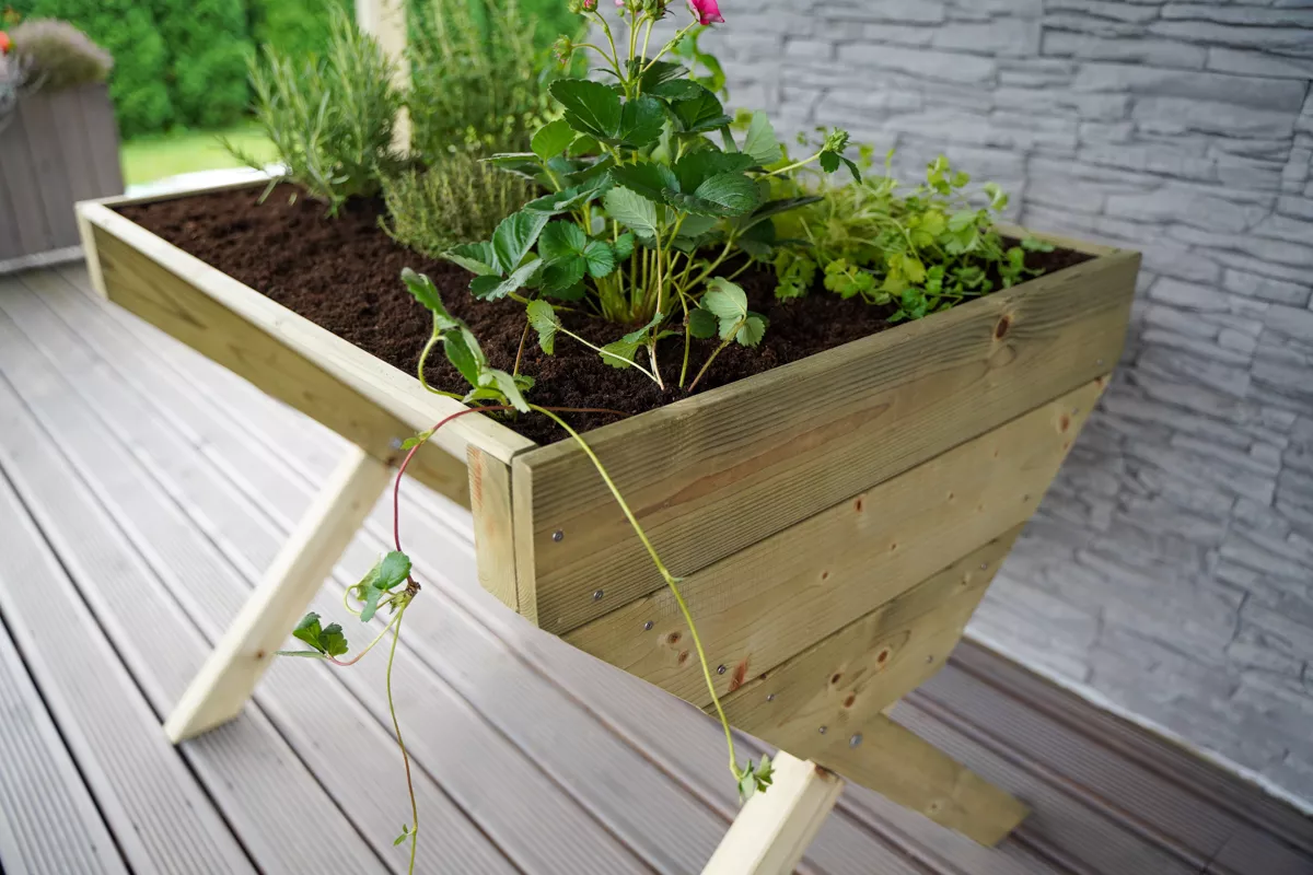 Verve 930mmx690mm Wood Rectangular Raised bed kit 0.64m² Verve 930mmx690mm Wood Rectangular Raised Bed Kit 0.64m² -Hozelock Shop verve 930mmx690mm wood rectangular raised bed kit 0 64m 5059340329628 04i