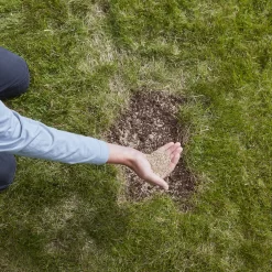 Verve Easy Start Coated Grass Seeds, 1.5kg -Hozelock Shop verve easy start coated grass seeds 1 5kg3663602947493 03i 1