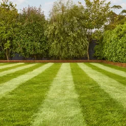 Verve Fine English Grass Seeds, 1.25kg -Hozelock Shop verve fine english grass seeds 1 25kg3663602947592 01i