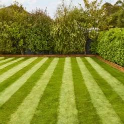 Verve Fine English Grass Seeds, 1.25kg -Hozelock Shop verve fine english grass seeds 1 25kg3663602947592 02i