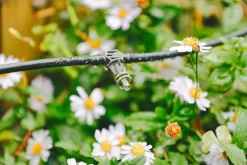 Verve Irrigation Kit 20 Pieces -Hozelock Shop verve irrigation kit 20 pieces5063022059888 01i