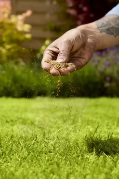 Verve Mamaterra Lawn Feed Granules 100m² 2.5kg -Hozelock Shop verve mamaterra lawn feed granules 100m 2 5kg5063022034779 02i