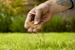 Verve Mamaterra Lawn Feed Granules 100m² 2.5kg -Hozelock Shop verve mamaterra lawn feed granules 100m 2 5kg5063022034779 03i