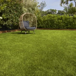 Verve Sunny Grass Seeds, 5kg -Hozelock Shop verve sunny grass seeds 5kg3663602947578 01i