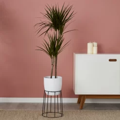 White Ceramic Round Plant Pot (Dia)21.5cm -Hozelock Shop white ceramic round plant pot dia 21 5cm3663602440826 01i bq